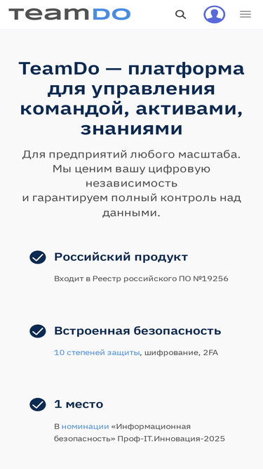 teamdo.ru