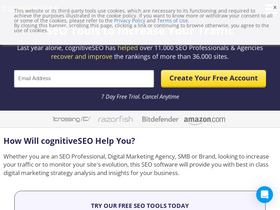 'cognitiveseo.com' screenshot