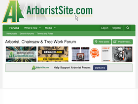 Arboristsite chainsaw deals