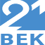 vek-xxi.ru