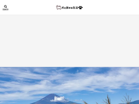'smart-wonder.com' screenshot
