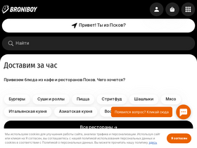 'broniboy.ru' screenshot