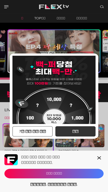 flextv.co.kr