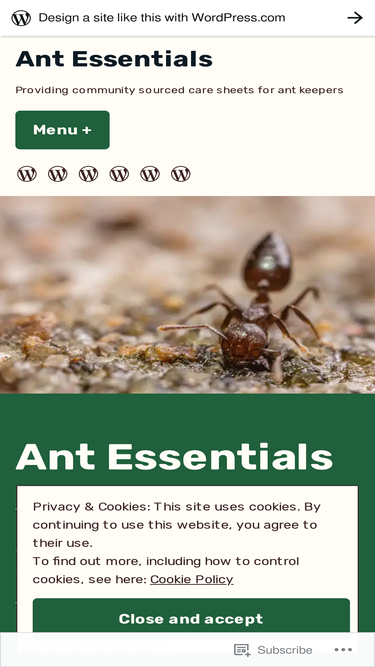 antessentials.wordpress.com