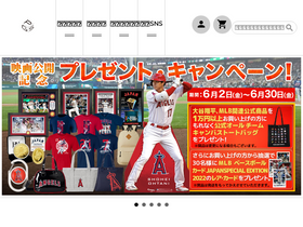 'pgs.ne.jp' screenshot