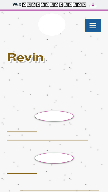 revinx.net