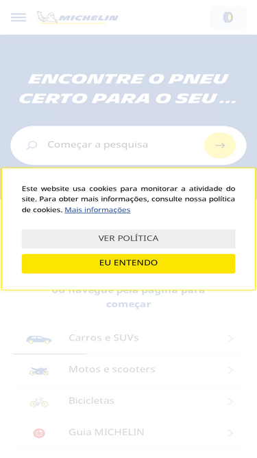 michelin.com.br