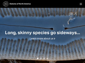 diatoms.org