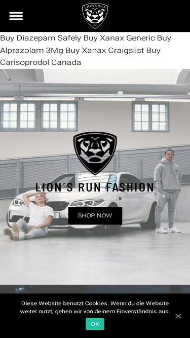 lions-run.com