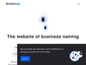 'brandsnag.com' screenshot