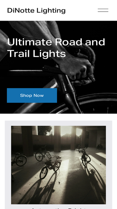 dinottelighting.com