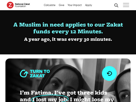 'nzf.org.uk' screenshot