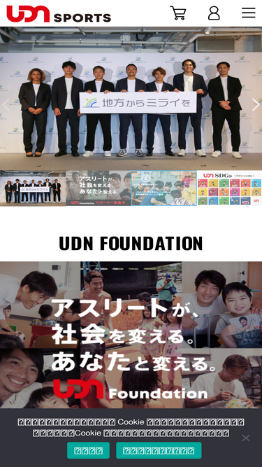 udnsports.com