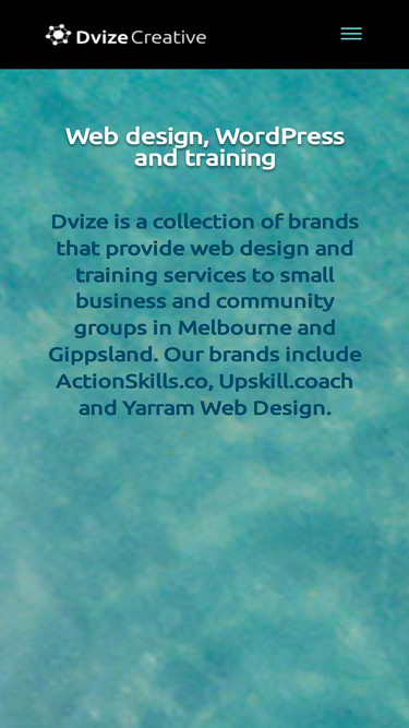 dvize.com