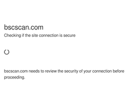 'bscscan.com' screenshot