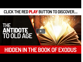 'exoduseffect.com' screenshot