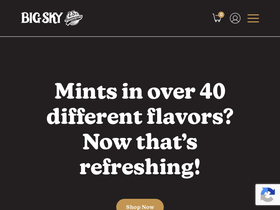 bigskybrands.com homepage screenshot