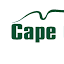 capeconcrete.com