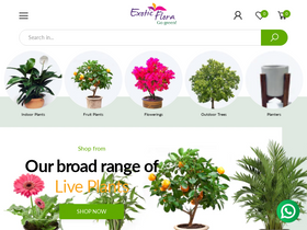 Website Logo