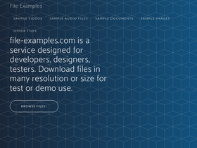 'file-examples.com' screenshot
