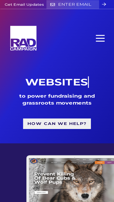 radcampaign.com