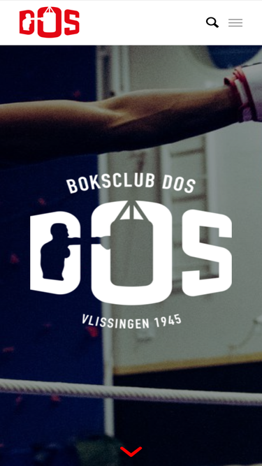 bcdos.nl