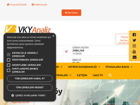 'vkyanaliz.com' screenshot