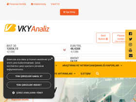 'vkyanaliz.com' screenshot