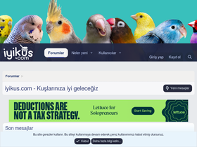 'iyikus.com' screenshot