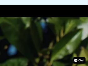 Fluxhabit homepage screenshot