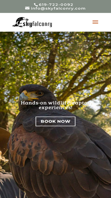 skyfalconry.com