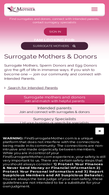 findsurrogatemother.com