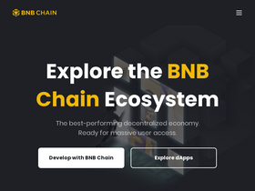 'binance.org' screenshot