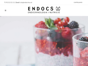 'endocrino.cat' screenshot