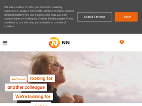 'nn-careers.com' screenshot