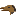 styracosaurus.de