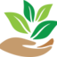 oaktreepractice.com
