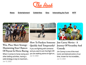 'thehooksite.com' screenshot