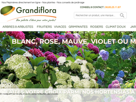 'grandiflora.fr' screenshot