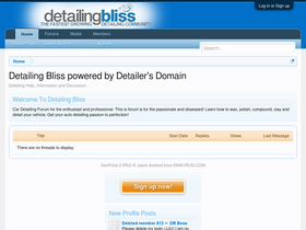 detailingbliss.com