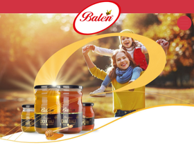 'balen.com.tr' screenshot