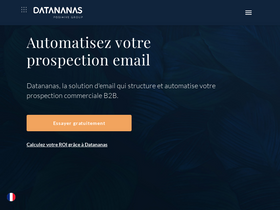datananas.com