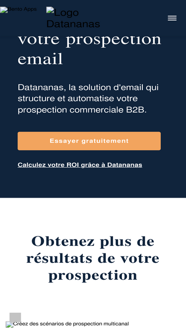 datananas.com