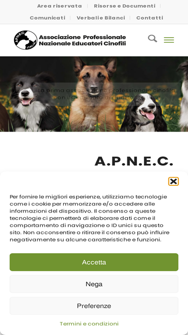 apnec.it