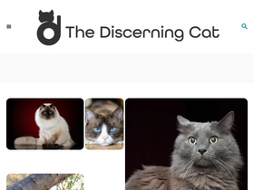 'thediscerningcat.com' screenshot
