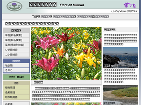 'mikawanoyasou.org' screenshot