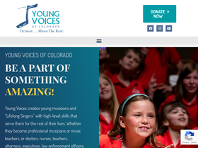 youngvoices.org