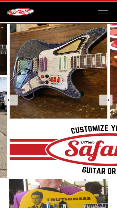 dipintoguitars.com