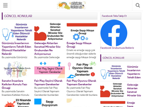 'egitimdedegerler.com' screenshot