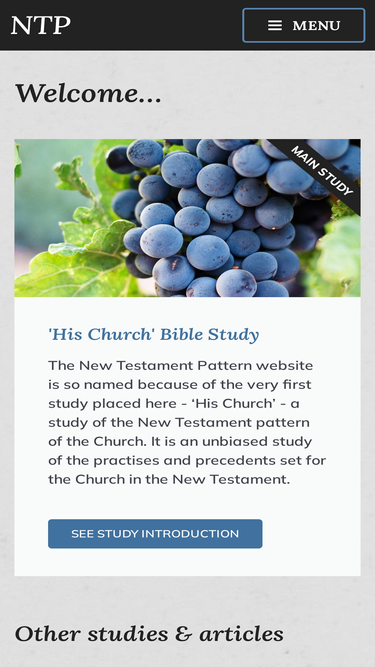 newtestamentpattern.net
